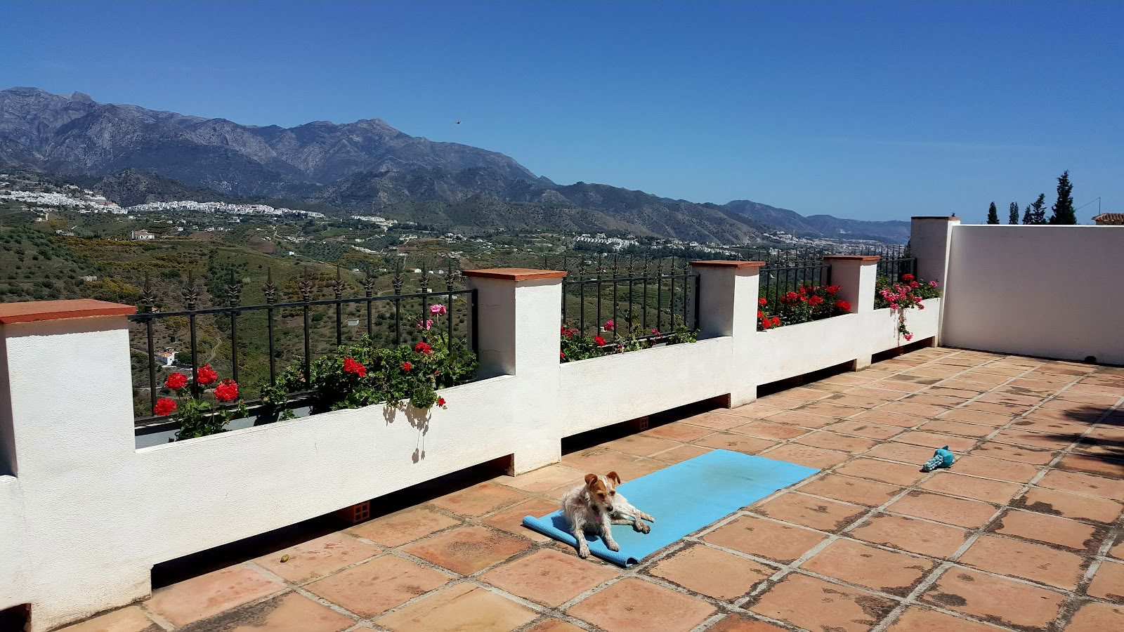 Vacances de yoga Paradiso. La Rejana