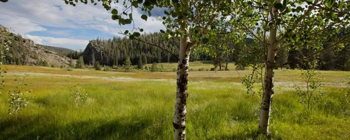 Camping sous tente