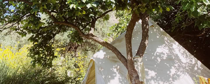 Tente cloche privée