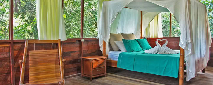 Suite Jungle avec Lit Queen Size