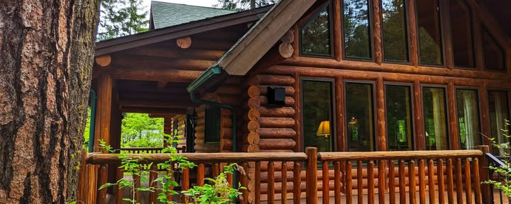 Chalet forestier