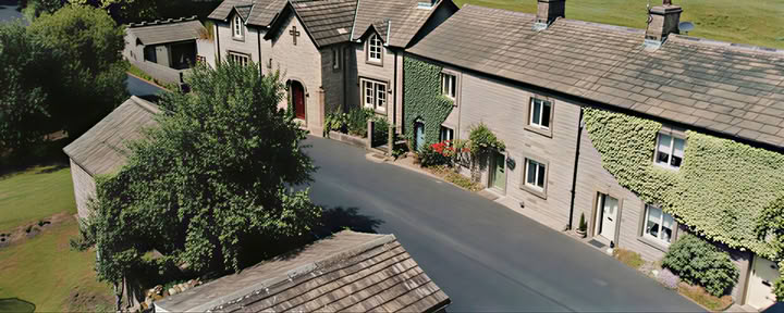 Cottage Ivy