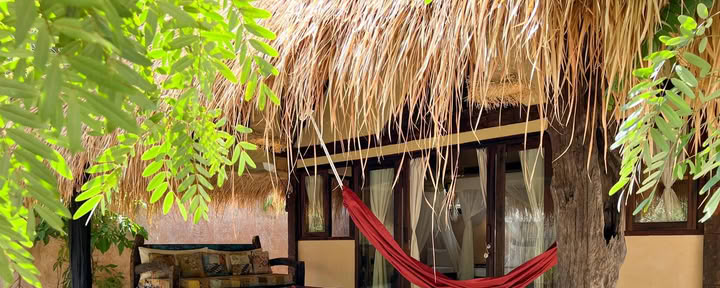 Cabane Jungle 1