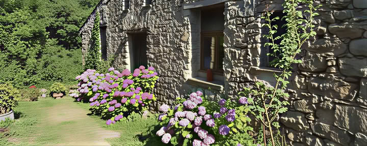 Appartement Zendo A